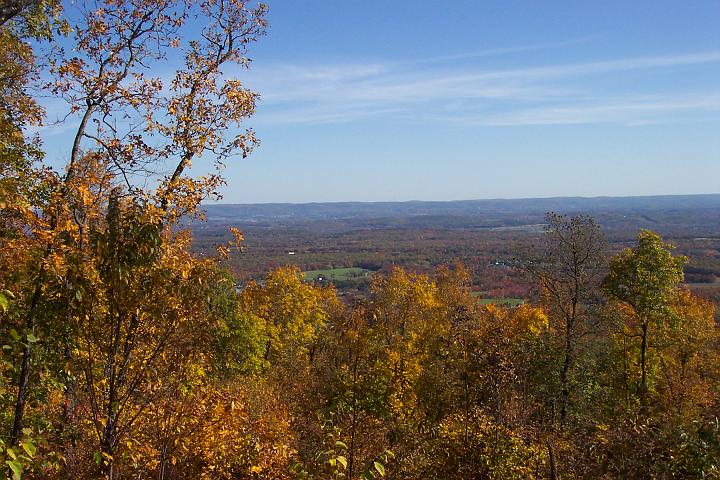 fall 026.jpg